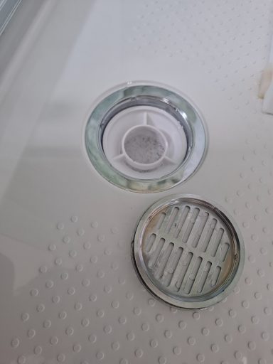Shower Drain After