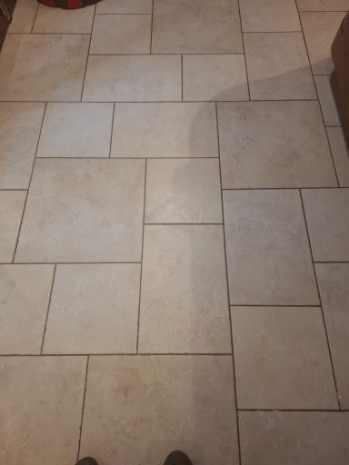 Tile Grout Before