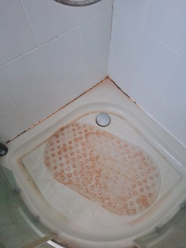 Shower Tray Before