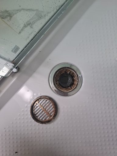 Shower Drain Before