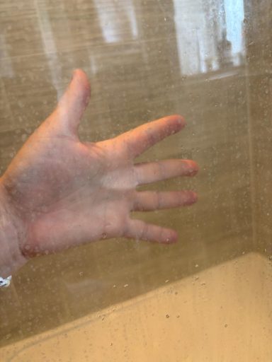 Shower Screen Before
